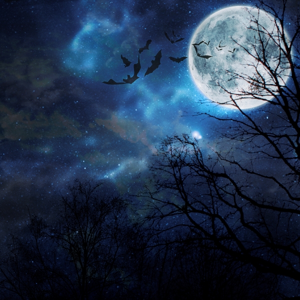halloween dark night sky bats full moon