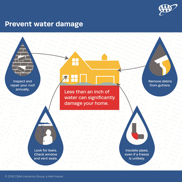 aaa insurance water damage infographic