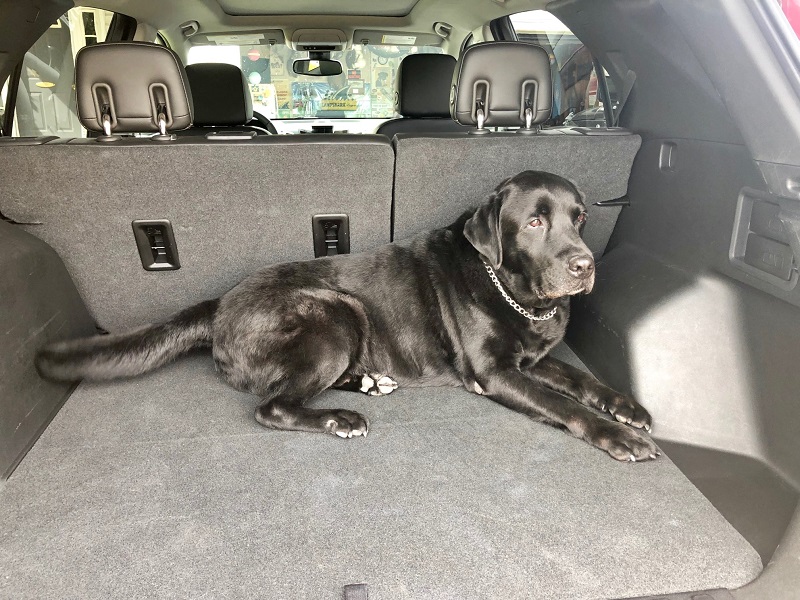 The Equinox interior is designed for easy cleanup for pet travel.
