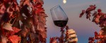 Glass of red wine held up in the air surrounded by red fall leaves