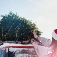 female loading a christmas tree on top of car